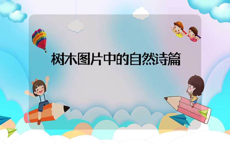  树木图片中的自然诗篇